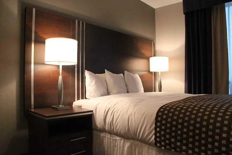 Comfort Inn Toronto City Centre Hotel